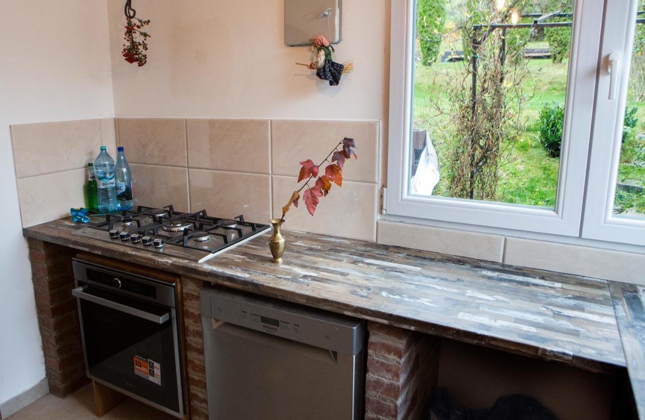 Hotel Casa Cu Magnolii Poienile Izei Exteriér fotografie