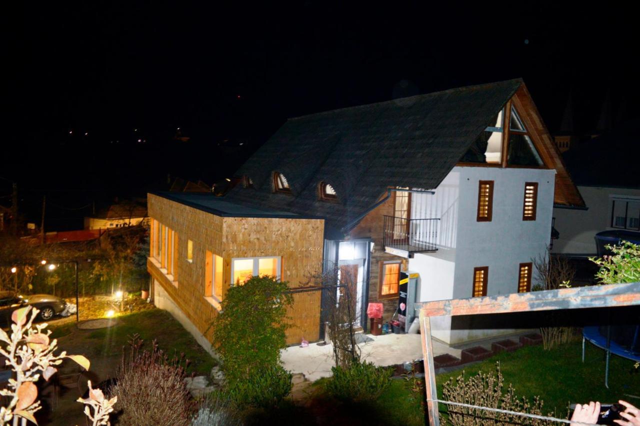 Hotel Casa Cu Magnolii Poienile Izei Exteriér fotografie