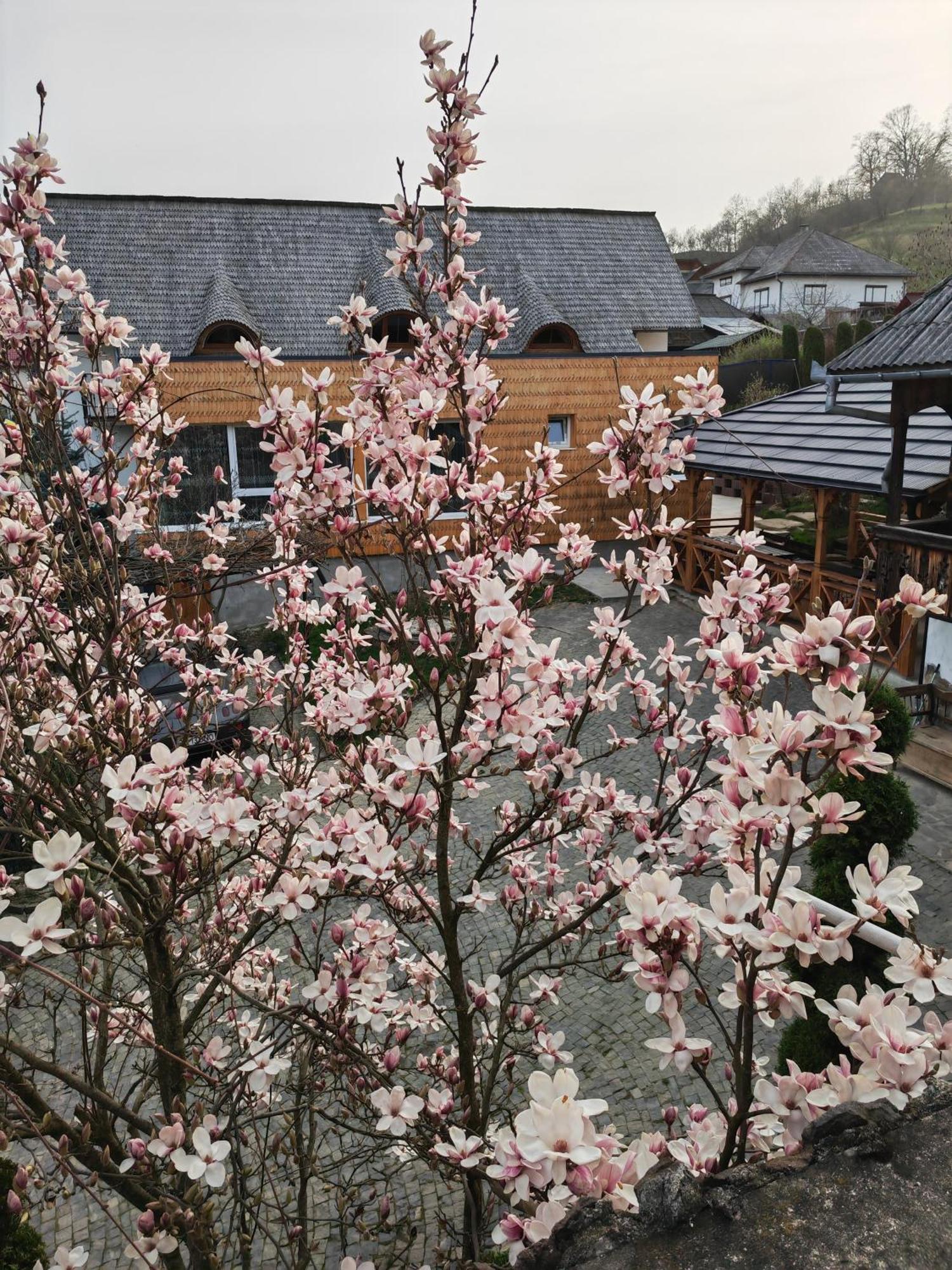 Hotel Casa Cu Magnolii Poienile Izei Exteriér fotografie