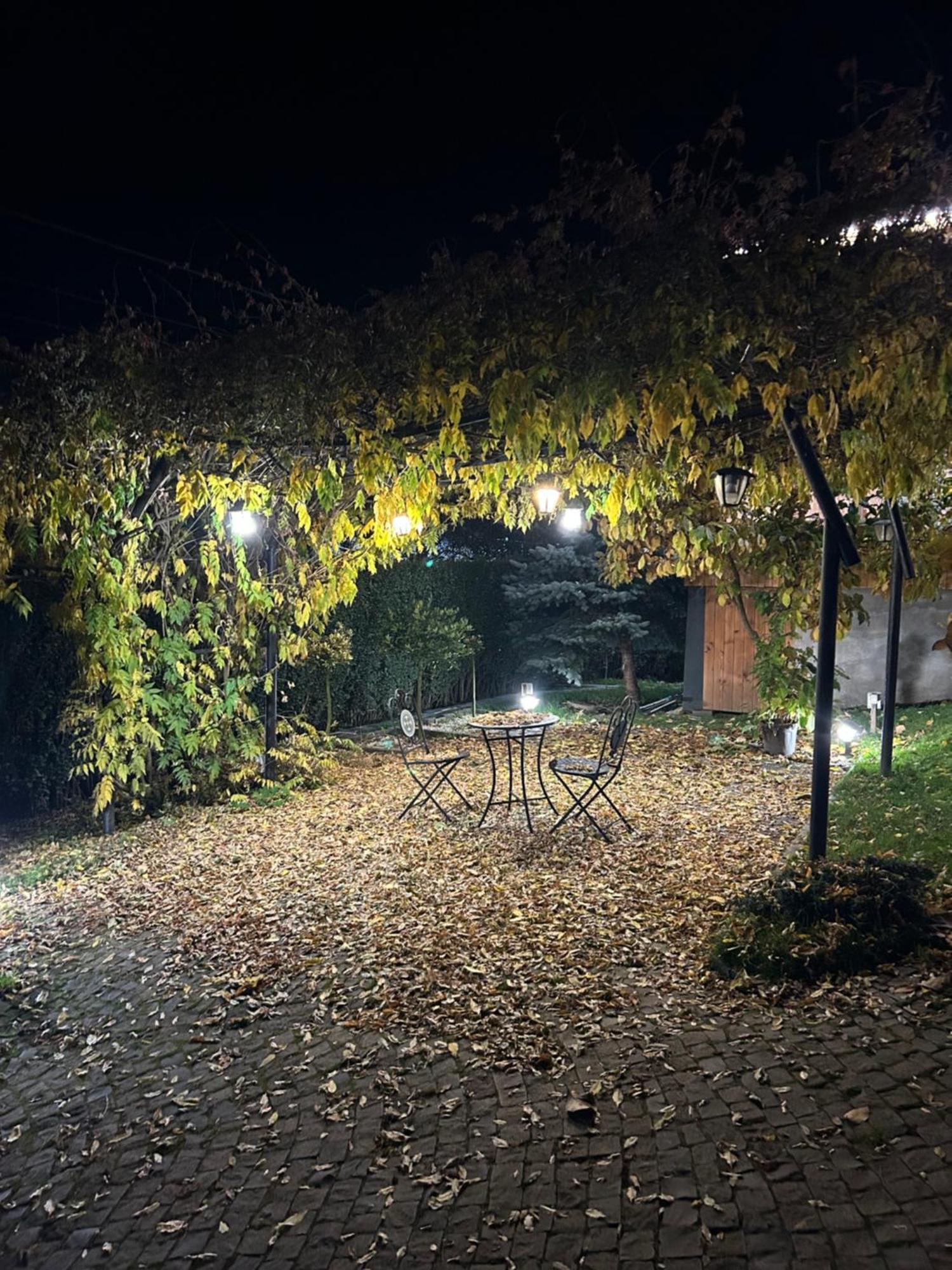 Hotel Casa Cu Magnolii Poienile Izei Exteriér fotografie