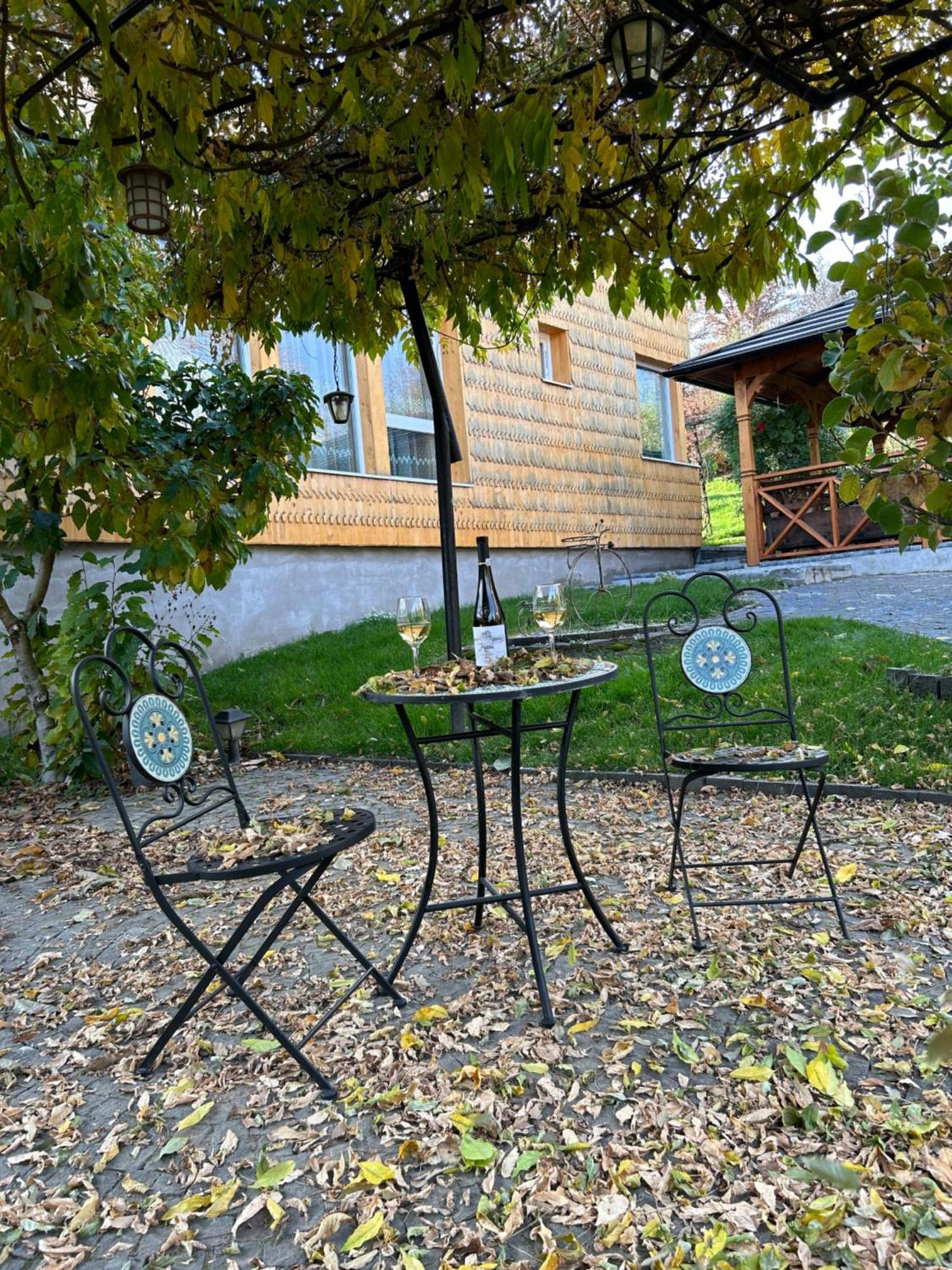 Hotel Casa Cu Magnolii Poienile Izei Exteriér fotografie