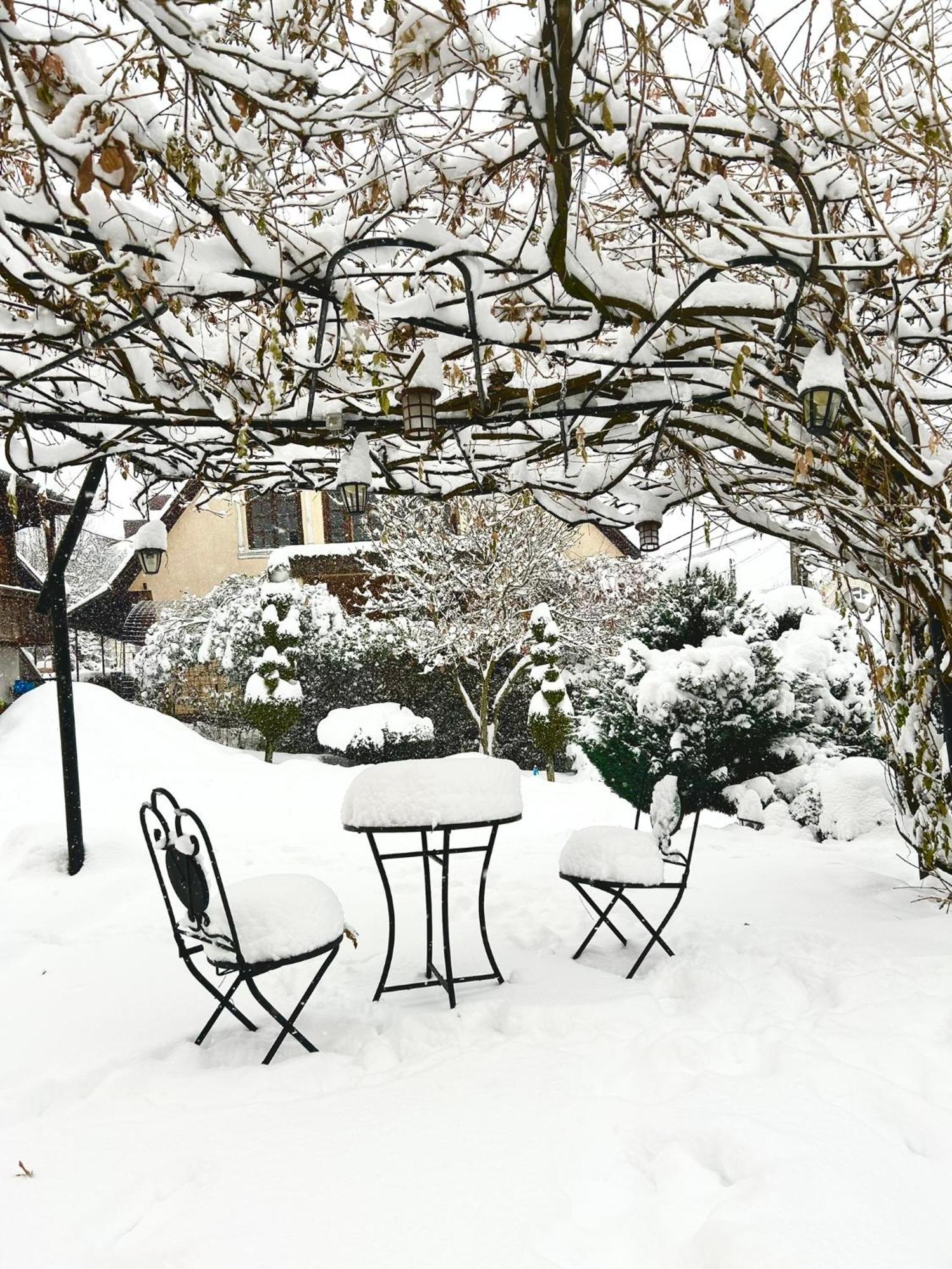 Hotel Casa Cu Magnolii Poienile Izei Exteriér fotografie